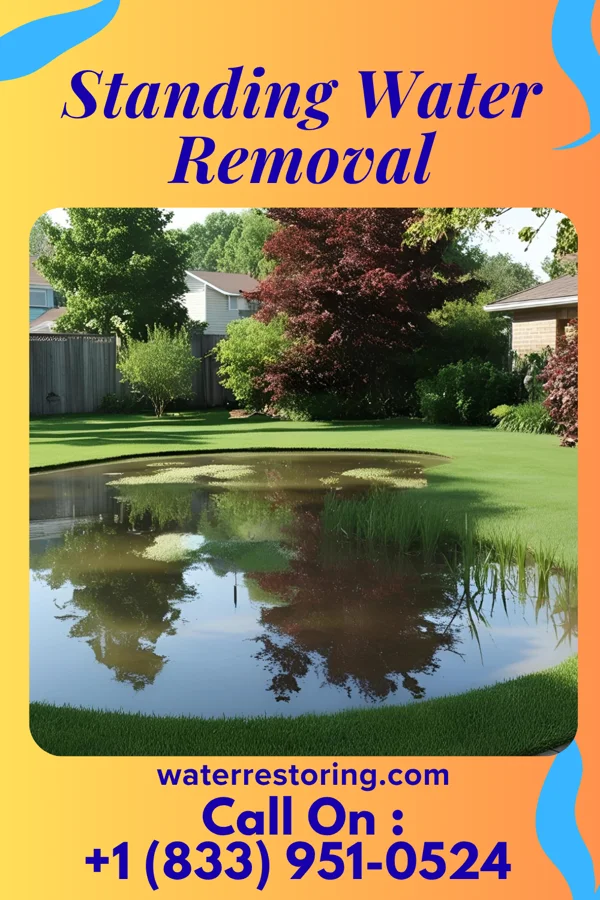 Standing Water Removal in Dayton, IA
